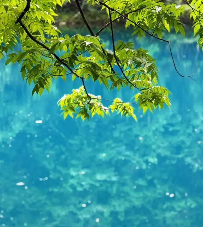 略分享贵州五日游跟团费用多少？看完就懂九游会·j9网站亲子游贵州旅游五天攻